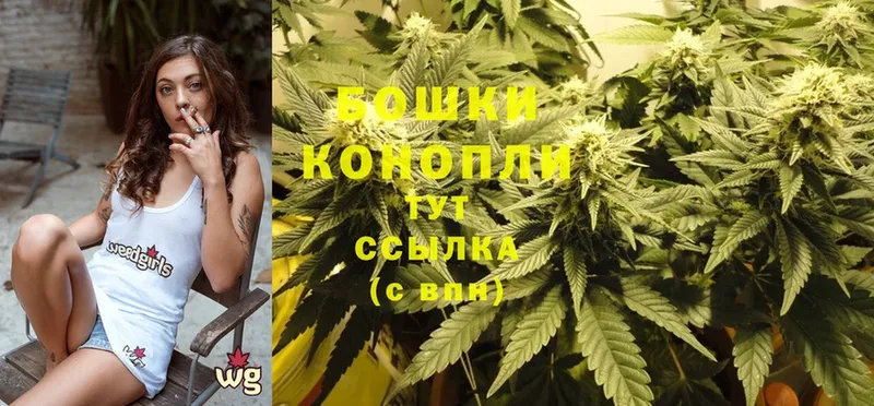 Шишки марихуана White Widow  MEGA ссылки  Апатиты 